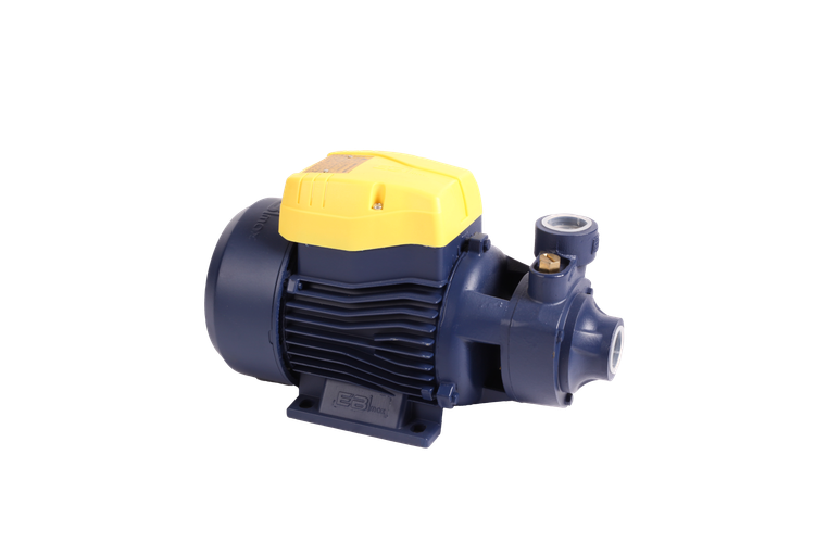 الکترو پمپ محیطی EM60